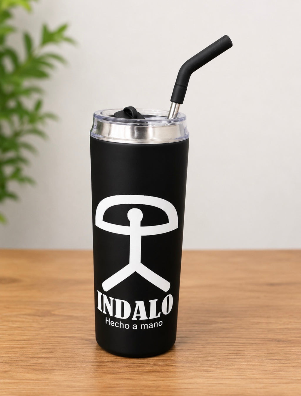 Indalo 20 oz. Insulated Stainless Steel Tumbler with Straw