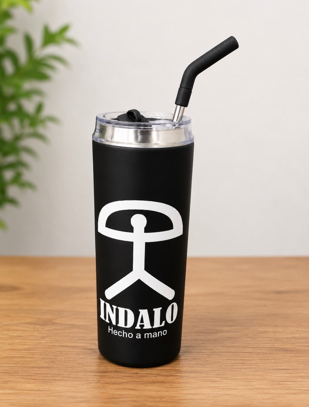 Indalo 20 oz. Insulated Stainless Steel Tumbler with Straw