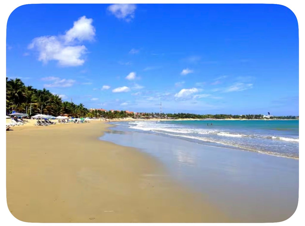 Cigar Trip: Dominican Republic | Feb 11–15, 2027