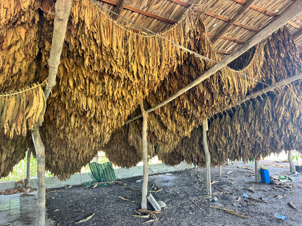 Cigar Trip: Dominican Republic | Feb 11–15, 2027